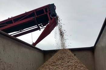 Bęben magnetyczny MB 204 F 600 - rozdrabnianie palet drewnianych