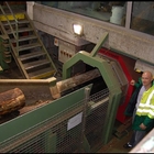 Tunelowy detektor metali METRON 05 CO dla przemysłu drzewnego