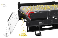 Eddy current separator z centralnie zamontowanym wirnikiem (ECS-C RAM)